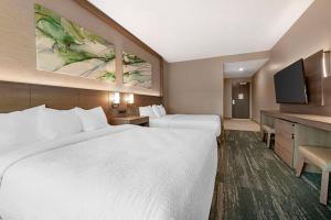 Postel nebo postele na pokoji v ubytování Best Western Plus Grand Rapids MN