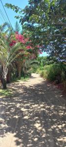 a dirt road with trees and pink flowers on it at Casa da Lua-Taipu de fora-Ba in Taipu