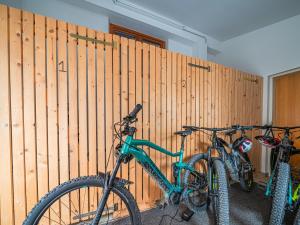 Jazda na bicykli v okolí ubytovania Haus Janita