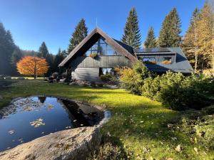a house with a pond in front of it at apartmány V Lese in Bedřichov