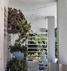 Fotografie z fotogalerie ubytování Vista Verde House v destinaci Luquillo