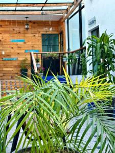 a group of plants in front of a house at Hotel Boutique Casa Miranda in Querétaro