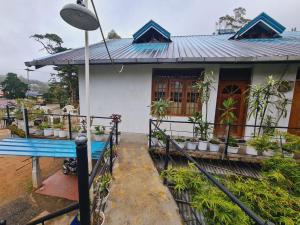 Balkón nebo terasa v ubytování sasru holiday home