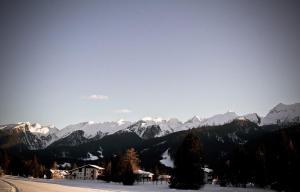 Příroda nedaleko apartmánu