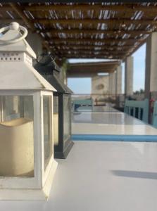 a bird house sitting on a table with a pool at Hotel Isla Vela Paracas in Paracas
