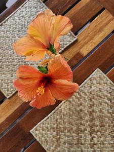 Imagem da galeria de Kap Soley - Ile Rodrigues em Rodrigues Island