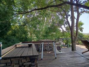 Napahong forest camp外面的花园