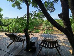 豪华帐篷周边自然景观