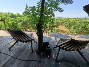 Napahong forest camp外面的花园
