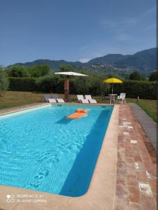 a pool with chairs and umbrellas in a yard at Ringo, the true Tuscany Country House in Capannori