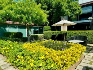 Zahrada ubytování Escape Condominiums Beachfront Suites - Mae Phim