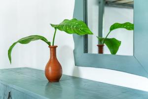 a vase sitting on a counter with a plant in it at Drifter - Rooms & Food in Midigama
