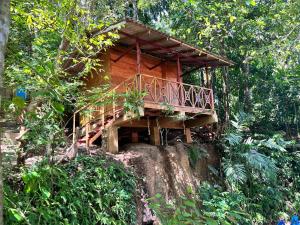 a tree house on a rock in the forest at Gioia House in Weligama