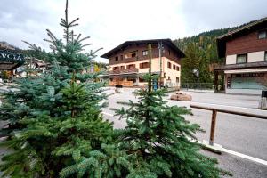 Dos árboles de Navidad al costado de una calle en MaR Maturi Appartamenti con due bagni ideali per 6 e 10 persone nel centro di Campiglio, en Madonna di Campiglio