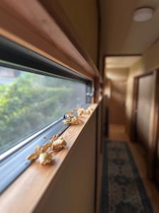 a train with a window and some insects on a ledge at 白子の古民家bimbetta 星空の下で焚き火とバーベキュー in Shirako