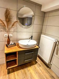 a bathroom with a sink and a mirror at Ferienwohnung Ankerplatz in Schalkenmehren