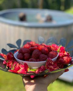 a person holding a plate with a bowl of strawberries at IDEA Wypoczynek Domek Jezioro Białe in Okuninka