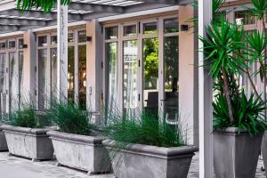 eine Gruppe von Topfpflanzen an der Seite eines Gebäudes in der Unterkunft SunnyA206 The Quadrant in Kapstadt