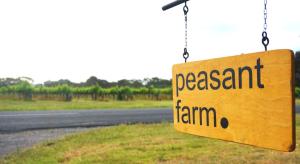 WillungaCreekside at Peasant Farm by Tiny Away的相册照片