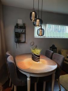 Posezení v ubytování Leilighet i Bergen + 7 fotografií