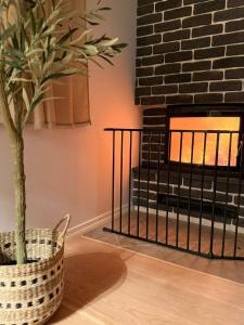 UsmeniekiにあるOzoliの暖炉の横にあるバスケットに入った植物 +32枚の写真