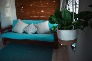 a blue couch with pillows and a potted plant at The Salty Surf Shack in Cape Town