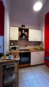 A kitchen or kitchenette at Double B Ferruccio I