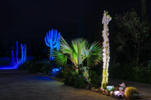 Zahrada ubytování Villa ARGANINA piscine chauffée