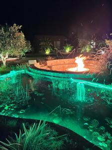 Zahrada ubytování Alicra Hotel Çıralı