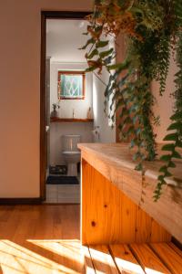 Fotografie z fotogalerie ubytování The Salty Surf Shack v Kapském Městě