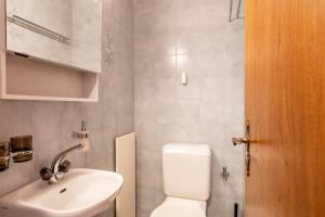 a bathroom with a white toilet and a sink at Fabi`s Horu Lodge in Zermatt +22 photos