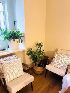 a living room with two chairs and potted plants at Feel at home chugureti in Tbilisi City