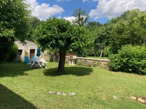 Ein Baum mitten im Garten in der Unterkunft La Caz en Sol Charentais - Le Fâ in Montpellier-de-Médillan
