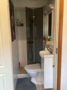a bathroom with a shower and a toilet and a sink at Hygge Home with free parking - Boho style apartment in Tartu +8 photos