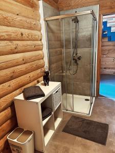 a bathroom with a shower with a cat sitting on a counter at Dein gemütliches Waldhaus im Soonwald in Henau