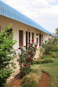 Photo de la galerie de l'établissement Die Geel Huis Guesthouse, à Wolmaranstad