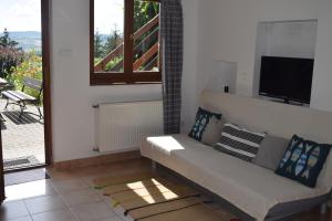 a living room with a couch and a television at Repülőhal Apartmanház in Zebegény