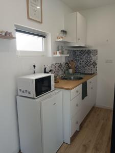 a small kitchen with a microwave and a sink at Chalet Cosy avec option Jacuzzi in Saint-Genès-de-Fronsac