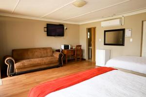 Un dormitorio con una cama, un sofá y un televisor. en Die Geel Huis Guesthouse, en Wolmaranstad
