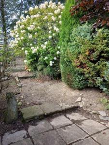 Imagen de la galería de Croft of Feithhill, en Turriff