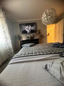 Posteľ alebo postele v izbe v ubytovaní Apartman Pannonica Pin 0-24h