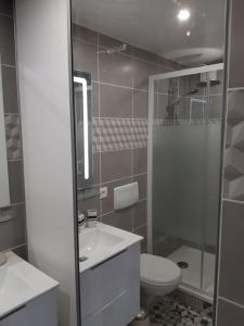 a bathroom with a toilet and a sink and a shower at Othello Studio in Souillac +10 photos