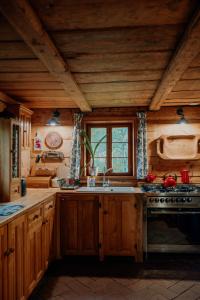 a kitchen with wooden cabinets and a sink and a stove at Chatka zimorodka 1790 z sauną in Pielgrzymka