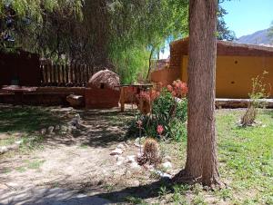 a yard with a tree and a table and a building at La Pirquita in Tilcara