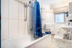 a bathroom with a shower and a toilet and a sink at Große Ferienwohnung mit Garten in Trollenhagen +20 photos