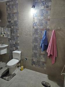 a bathroom with a toilet and a sink at The great pyramids view inn in Cairo