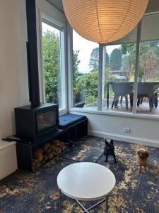 Billede fra billedgalleriet på Ayla Cottage - Cosy Escape i Blackheath + 47 billeder