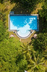 ウナワトゥナにあるPrana Villa Unawatuna - Charming 4 bedroom Villaのヤシの木のあるプールの上空からの眺め