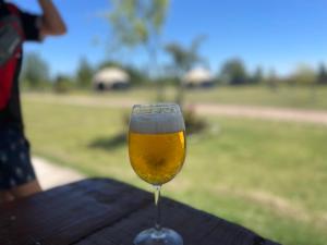a glass of beer sitting on top of a table at Portal del Nevado in General Alvear