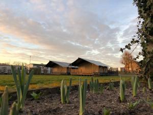Glamping de Hof van Eeden外面的花园
